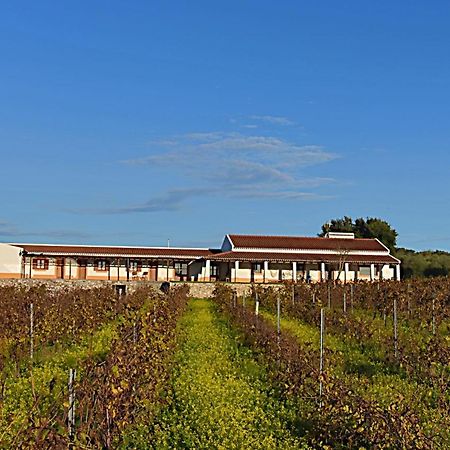 Vila Ruiva  Turismo Rural Pedremoura 게스트하우스 외부 사진