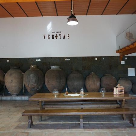 Vila Ruiva  Turismo Rural Pedremoura 게스트하우스 외부 사진