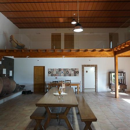 Vila Ruiva  Turismo Rural Pedremoura 게스트하우스 외부 사진