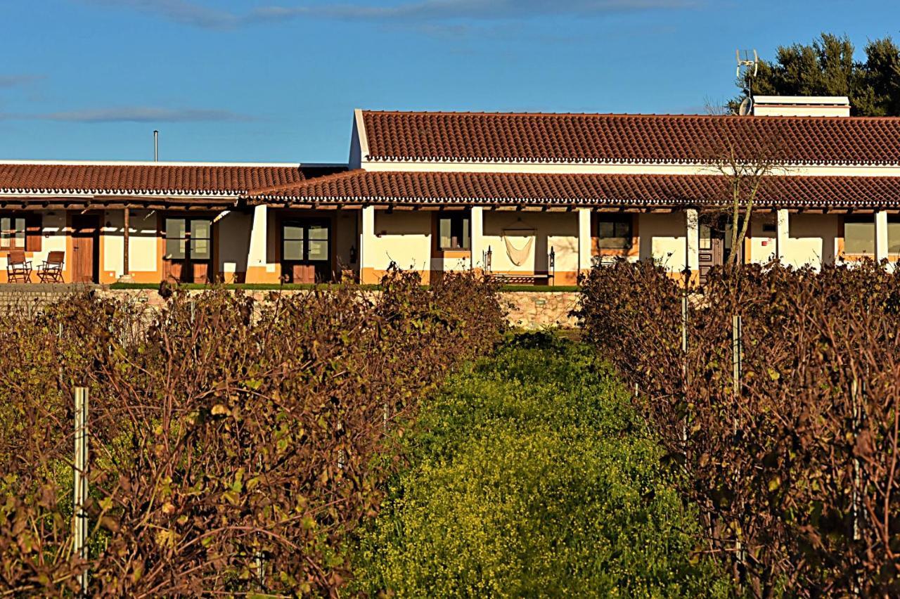 Vila Ruiva  Turismo Rural Pedremoura 게스트하우스 외부 사진