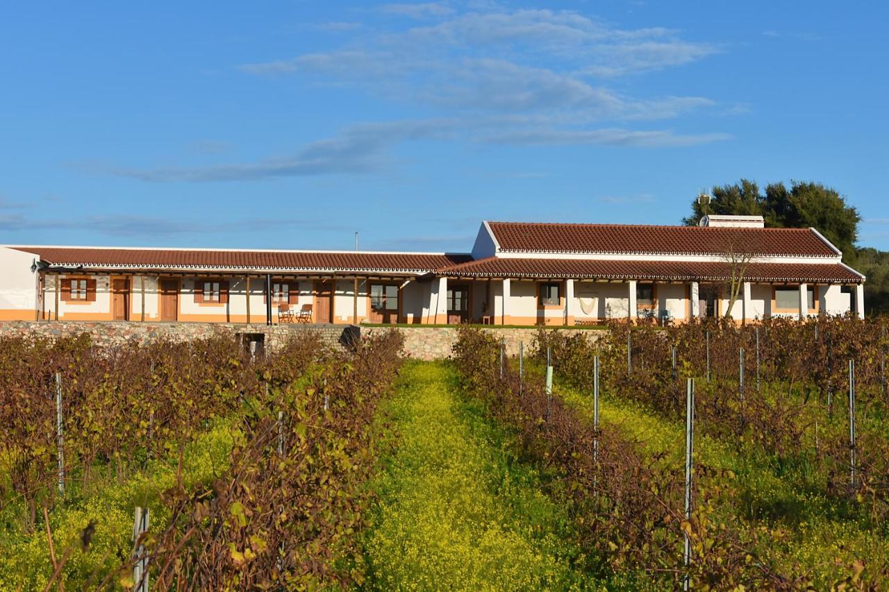 Vila Ruiva  Turismo Rural Pedremoura 게스트하우스 외부 사진