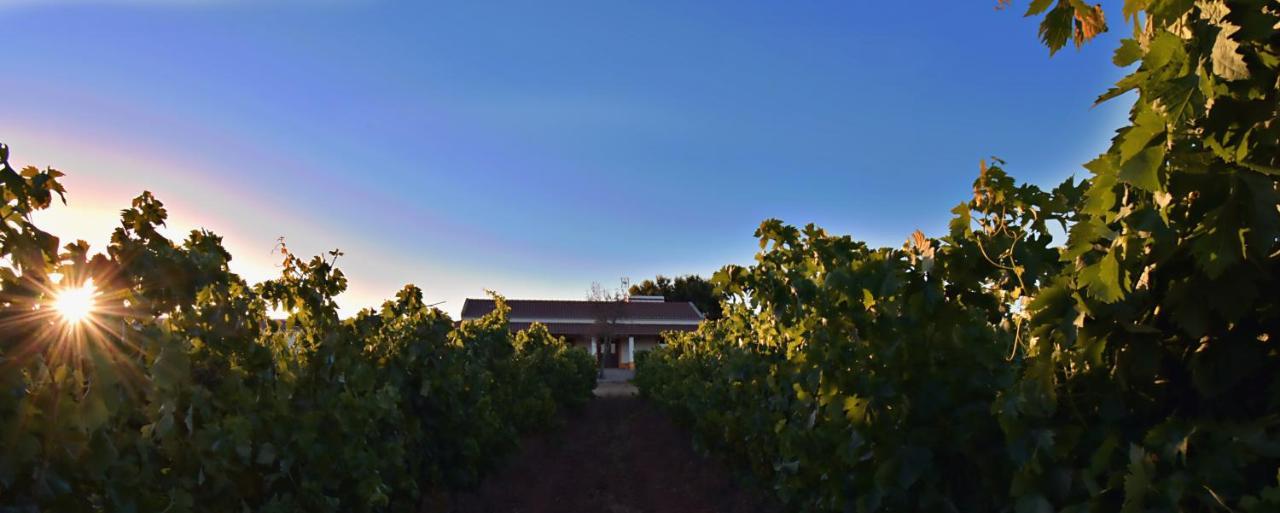 Vila Ruiva  Turismo Rural Pedremoura 게스트하우스 외부 사진