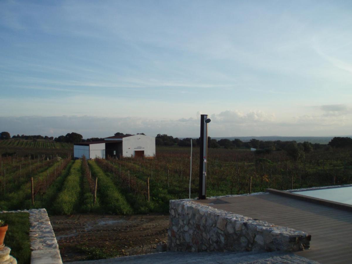 Vila Ruiva  Turismo Rural Pedremoura 게스트하우스 외부 사진