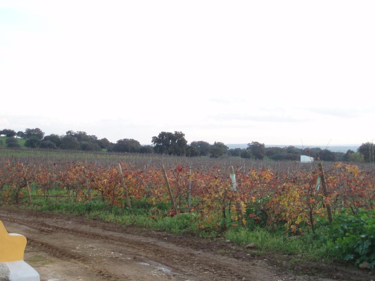 Vila Ruiva  Turismo Rural Pedremoura 게스트하우스 외부 사진